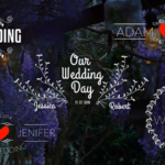 【AE模板】25组婚礼浪漫文字标题动画 Wedding Titles